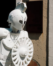 Load image into Gallery viewer, Eco-Warrior