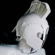 Load image into Gallery viewer, Eco-Warrior