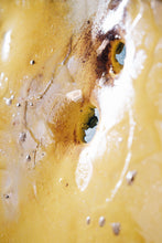 Carica l&#39;immagine nel visualizzatore di Gallery, Apple core center detail recycled metal sustainable art piece

