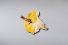 Carica l&#39;immagine nel visualizzatore di Gallery, Apple core leftovers front view recycled metal sculpture sustainable art fruit only
