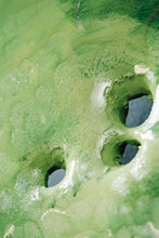 Load image into Gallery viewer, Green apple texture detail recycled road signs transformation art
