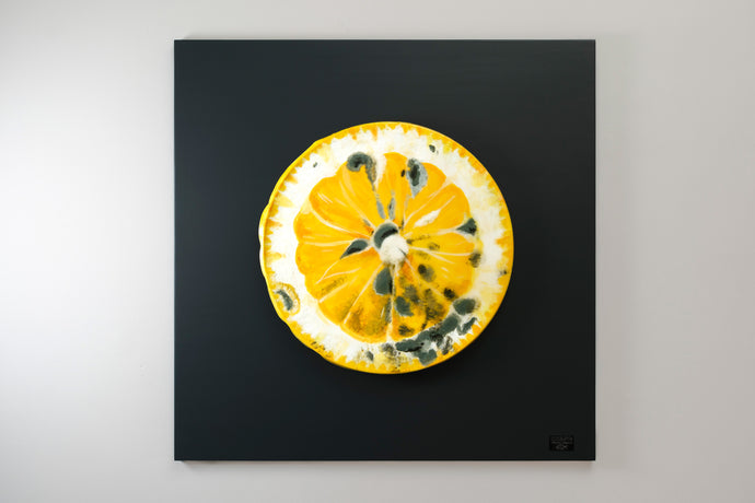 Moldy Lemon wall sculpture contemporary fruit art Maurizio Sergiusti ScoobaFish sustainable art TuttiFrutti collection