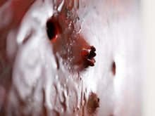Load image into Gallery viewer, Macro detail of shooting holes Tomatinho sculpture highlighting mold, decay and reclaimed metal textures.
