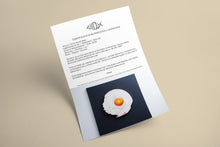 Carica l&#39;immagine nel visualizzatore di Gallery, Certificate authenticity Angry Bird sculpture Maurizio Sergiusti ScoobaFish original artwork documentation
