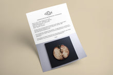 Carica l&#39;immagine nel visualizzatore di Gallery, Certificate authenticity Apple Core First Signs Old Age Scoobafish 2022
