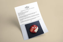 Load image into Gallery viewer, Certificate authenticity Bited apple sculpture Scoobafish 2022
