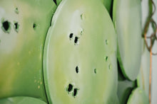 Load image into Gallery viewer, Giant grape bunch angle view sustainable art installation TuttiFrutti
