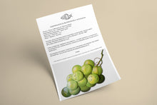 Load image into Gallery viewer, Certificate authenticity Giant Grape Bunch sculpture Scoobafish 2021
