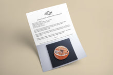 Load image into Gallery viewer, Certificate authenticity Yummy orange slice sculpture Scoobafish 2022
